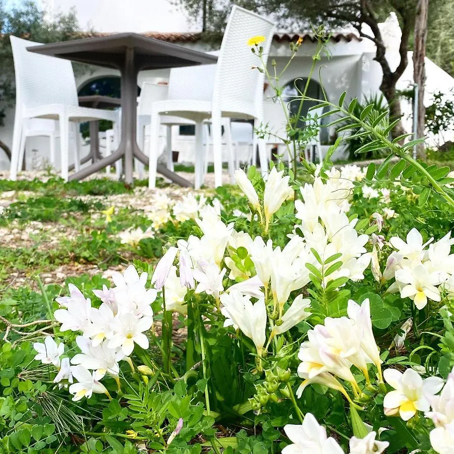 Guest house Il Salice B&B Olbia