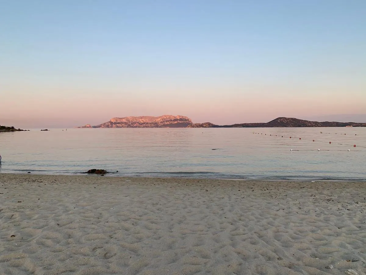 Il Salice B&B Olbia 3*,  Italien